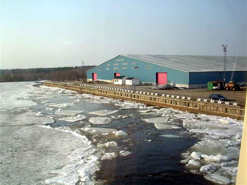 Viscaria