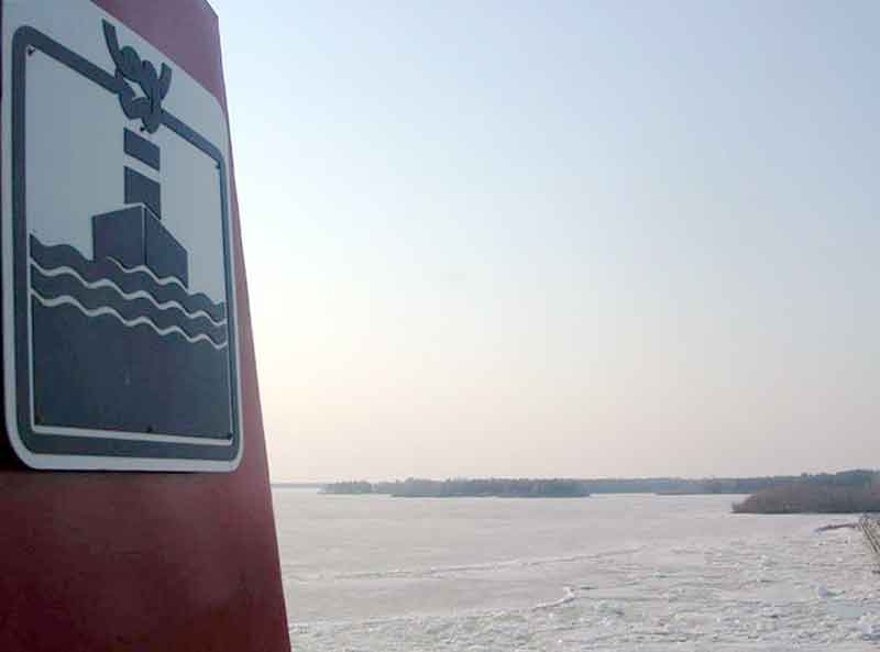 Viscaria