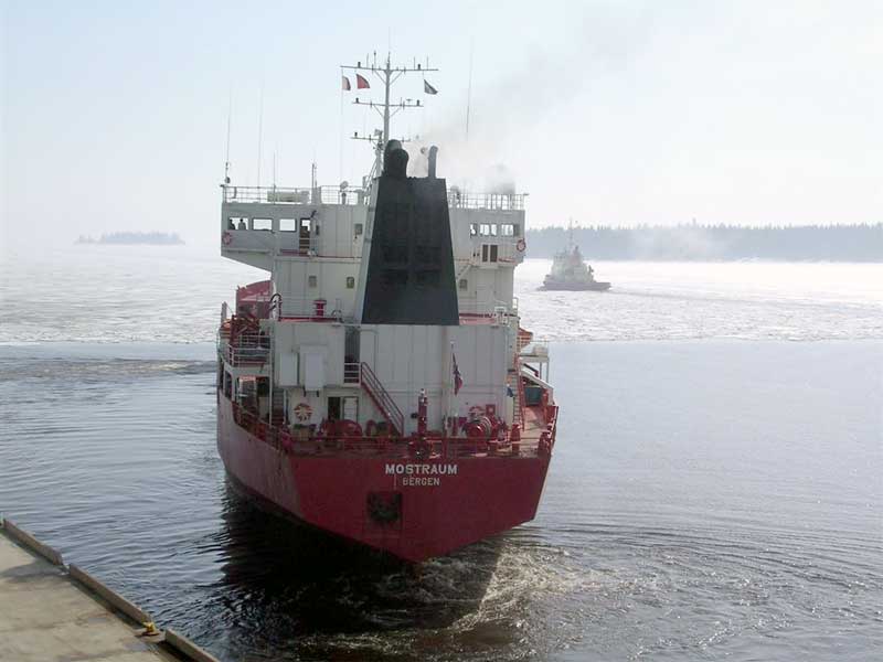 Viscaria