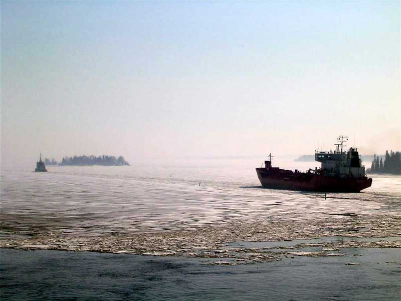 Viscaria