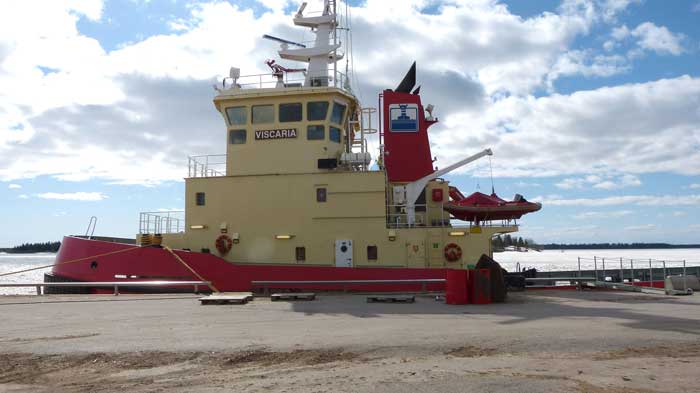 Viscaria
