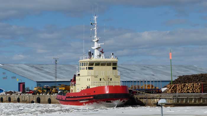 Viscaria