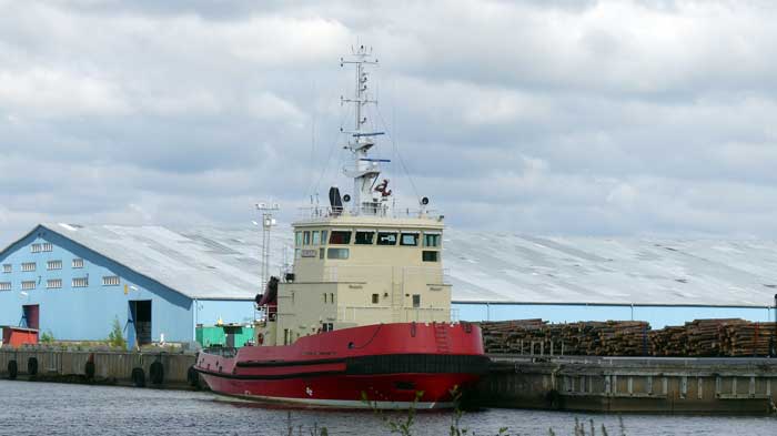 Viscaria